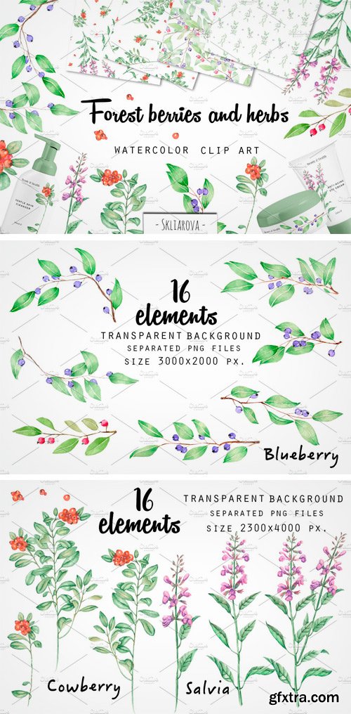 CM - Blueberry, Cowberry, Salvia Clip Art 2165143