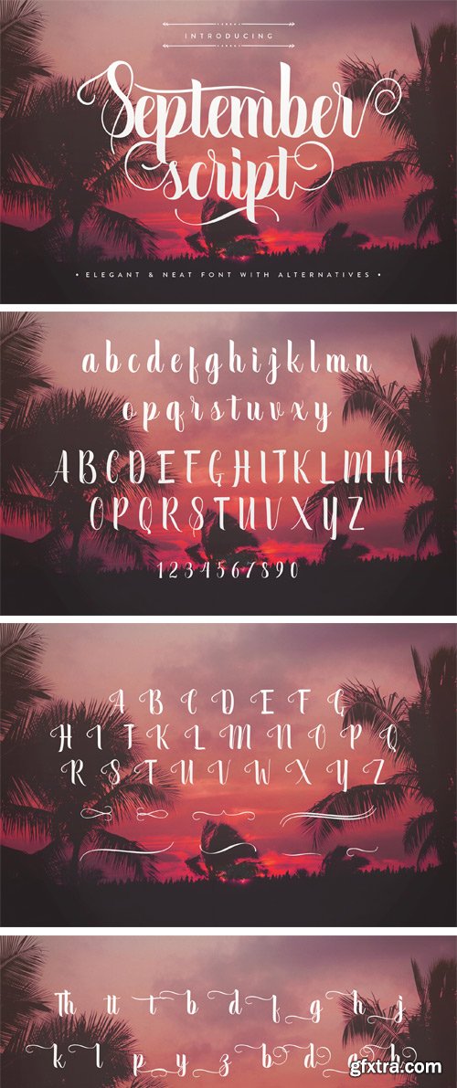 Fontbundles - September Script Font