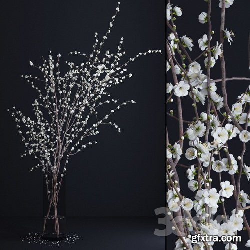 Prunus White Blossom