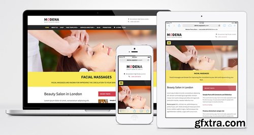 WPZoom - Modena v1.1.3 - WordPress Theme