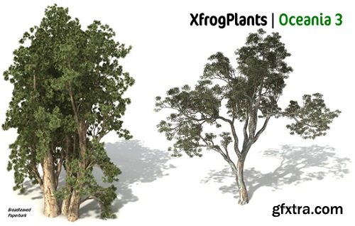 XfrogPlants - Oceania 3