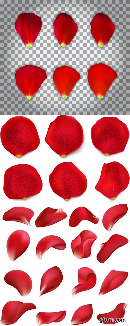 Vectors - Realistic Red Petals