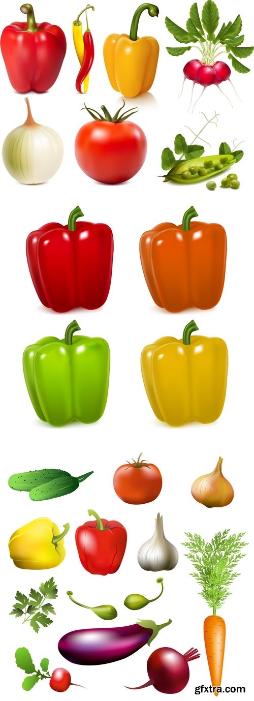 Vectors - Realistic Vegetables Set 5