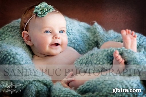 CreativeLIVE - Bellies & Babies