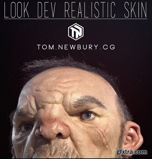 Gumroad - Look Dev Realistic Skin for Characters