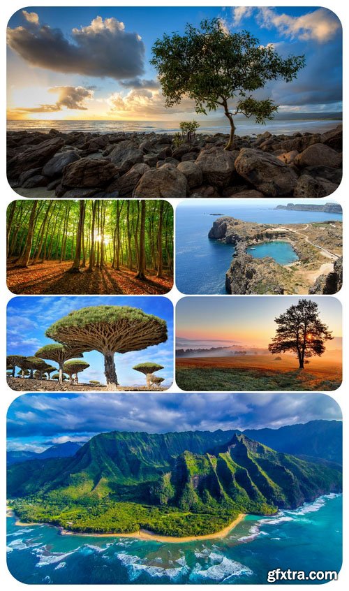 Most Wanted Nature Widescreen Wallpapers #416