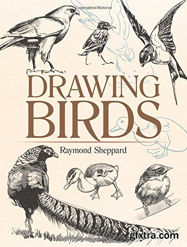 Drawing Birds (Dover Art Instruction)