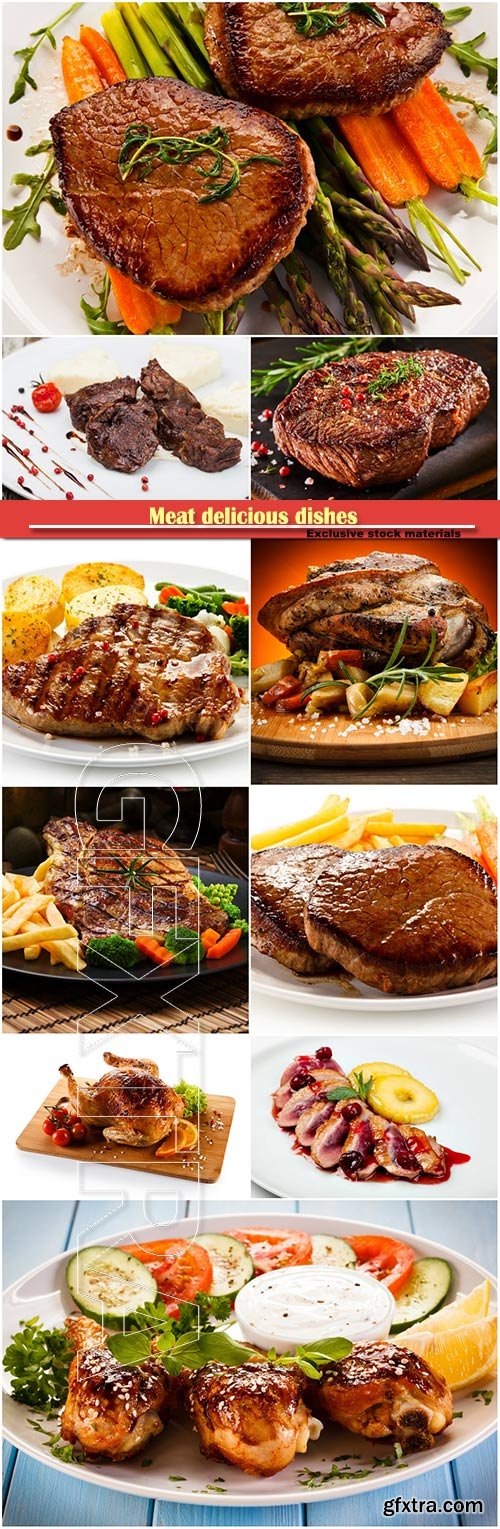 Meat delicious dishes served with french fries and vegetables