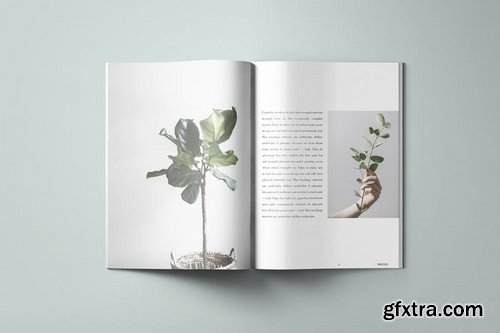 Phoenix Magazine Template