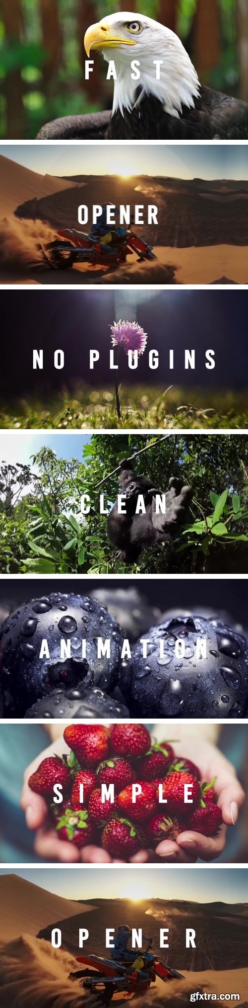 MotionArray - Fast Opener After Effects Templates 58549