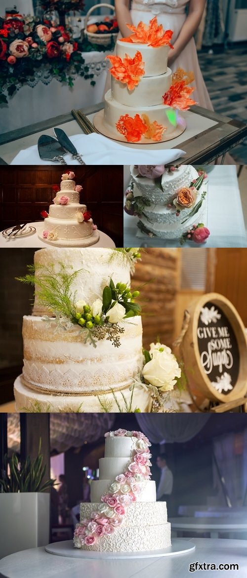 Photos - Wedding Cakes 21