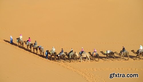 Camel caravan traveler Tuareg desert dune sand barchan 25 HQ Jpeg