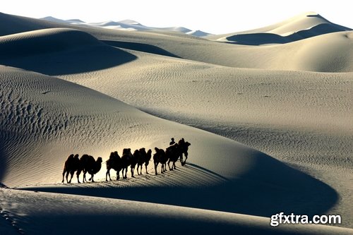 Camel caravan traveler Tuareg desert dune sand barchan 25 HQ Jpeg