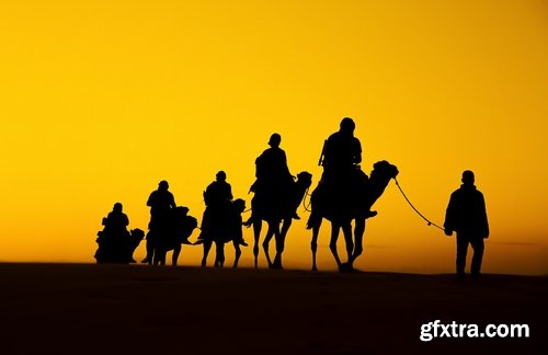 Camel caravan traveler Tuareg desert dune sand barchan 25 HQ Jpeg