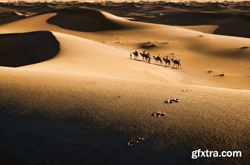 Camel caravan traveler Tuareg desert dune sand barchan 25 HQ Jpeg