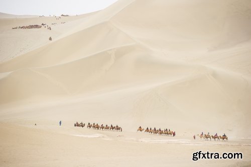 Camel caravan traveler Tuareg desert dune sand barchan 25 HQ Jpeg