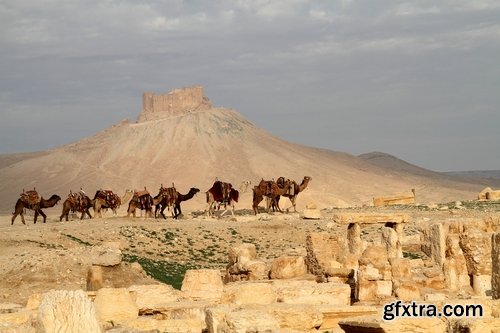 Camel caravan traveler Tuareg desert dune sand barchan 25 HQ Jpeg