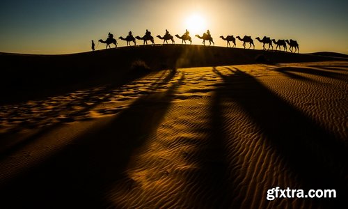 Camel caravan traveler Tuareg desert dune sand barchan 25 HQ Jpeg