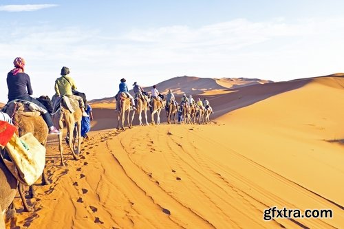 Camel caravan traveler Tuareg desert dune sand barchan 25 HQ Jpeg