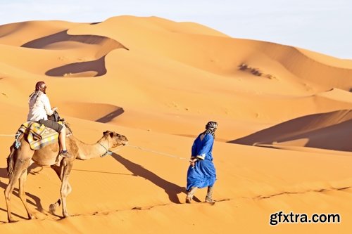 Camel caravan traveler Tuareg desert dune sand barchan 25 HQ Jpeg