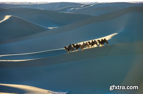 Camel caravan traveler Tuareg desert dune sand barchan 25 HQ Jpeg