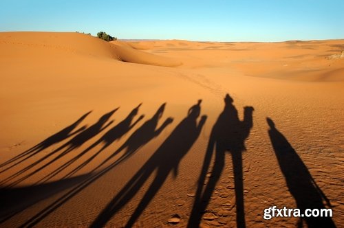 Camel caravan traveler Tuareg desert dune sand barchan 25 HQ Jpeg