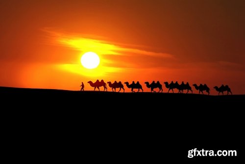 Camel caravan traveler Tuareg desert dune sand barchan 25 HQ Jpeg