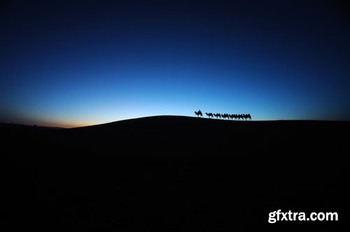 Camel caravan traveler Tuareg desert dune sand barchan 25 HQ Jpeg