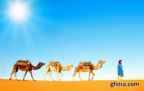 Camel caravan traveler Tuareg desert dune sand barchan 25 HQ Jpeg