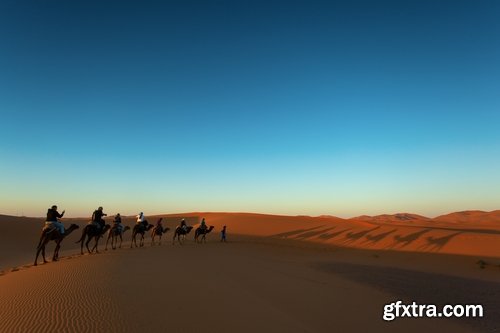 Camel caravan traveler Tuareg desert dune sand barchan 25 HQ Jpeg