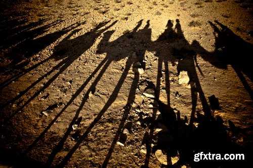 Camel caravan traveler Tuareg desert dune sand barchan 25 HQ Jpeg