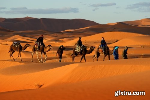 Camel caravan traveler Tuareg desert dune sand barchan 25 HQ Jpeg