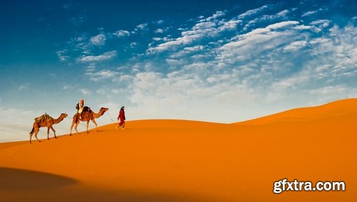 Camel caravan traveler Tuareg desert dune sand barchan 25 HQ Jpeg