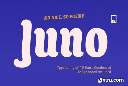 Juno Font Family