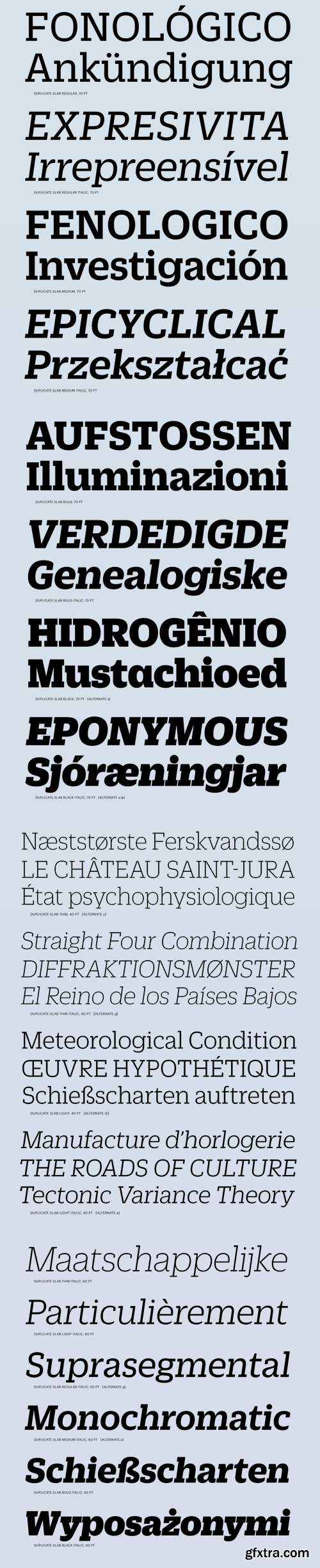 Duplicate Slab Font Family