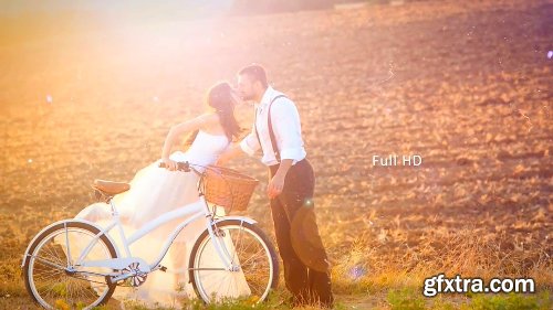 Videohive Wedding Photos 12434895