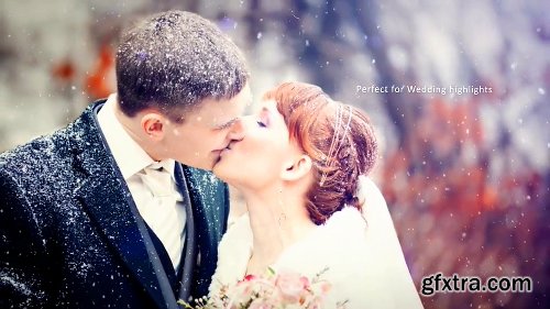 Videohive Wedding Photos 12434895