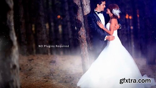 Videohive Wedding Photos 12434895