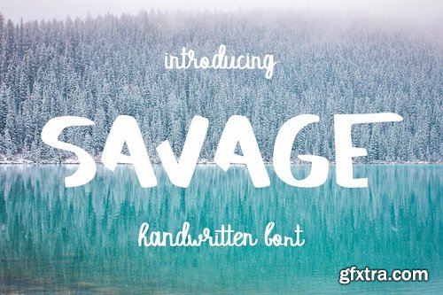 CM - SAVAGE duo script font 2249484