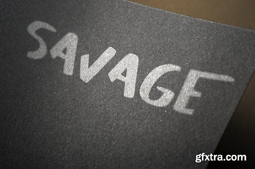 CM - SAVAGE duo script font 2249484