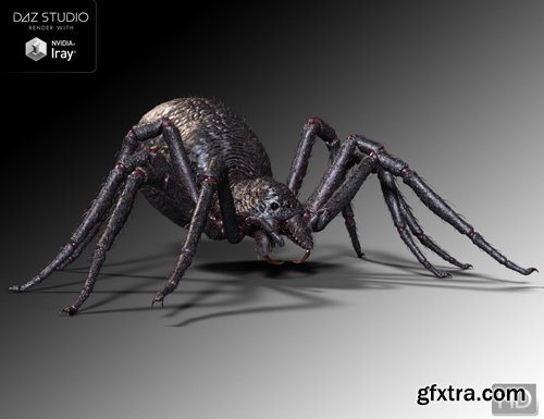 Giant Monster Spider HD Bundle