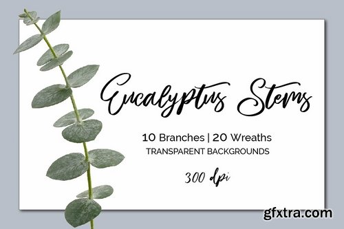 CM - Eucalyptus Branches & Wreath ClipArt 2250499