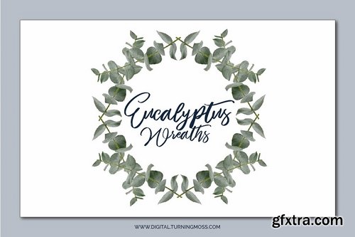 CM - Eucalyptus Branches & Wreath ClipArt 2250499