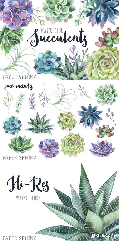 CM - Watercolor Succulents Clipart 2205008