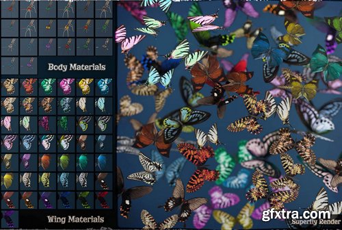 3D Insect Fauna Flutter of Butterflies