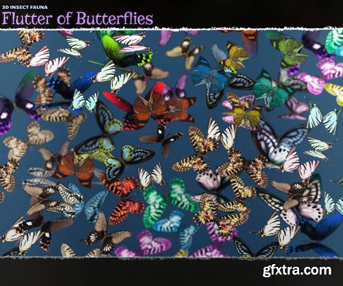 3D Insect Fauna Flutter of Butterflies