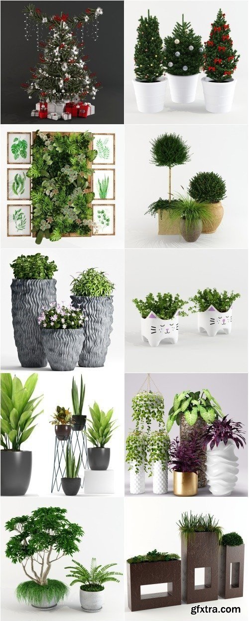 Decorative Plants PRO 3d Models