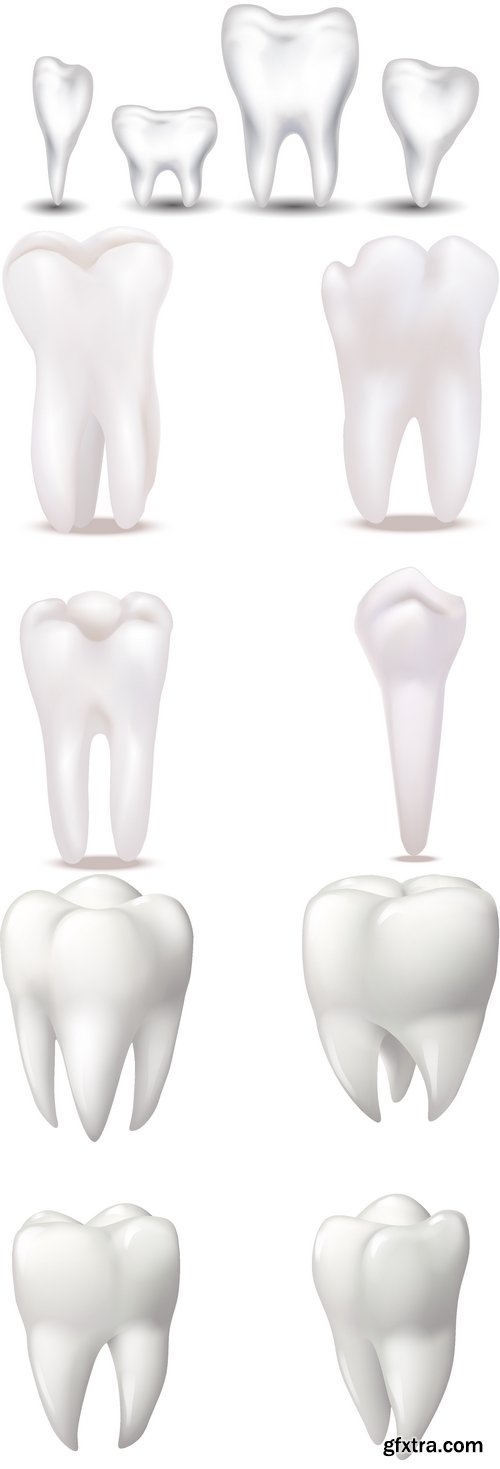 Vectors - Realistic White Teeth