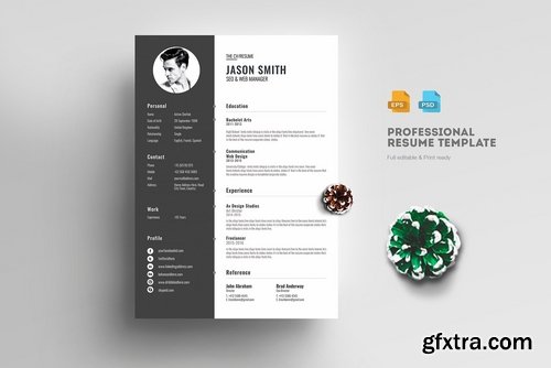 CM - Professional Resume Template 2223138