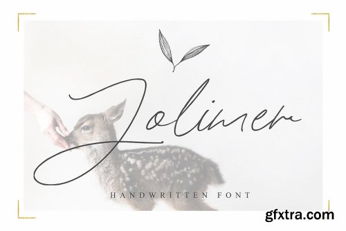 CreativeMarket 147 IN 1 Font Bundle SALE! 2261227